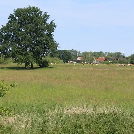 Дом отдыха Spreewald *