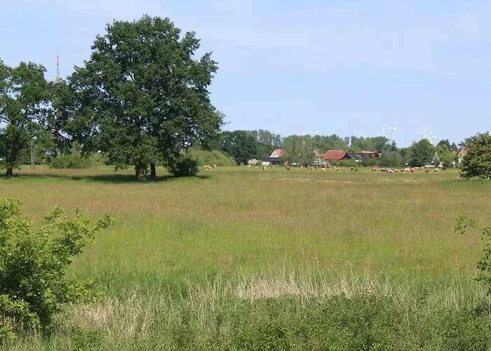 Сasa de vacaciones Spreewald *